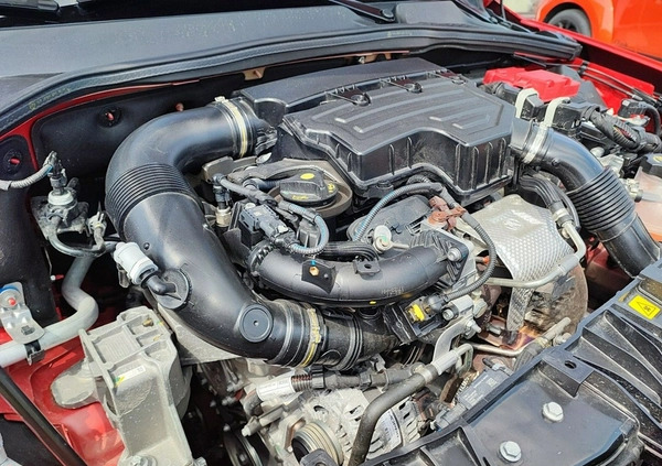 Fiat Tipo cena 78500 przebieg: 6100, rok produkcji 2022 z Prabuty małe 436